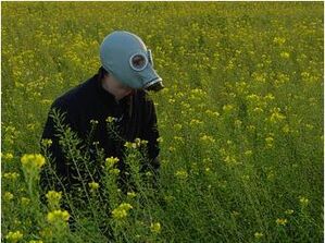 Bildquelle: photocase.com // Munky