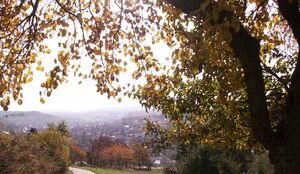 Herbsttag über Dietlingen
