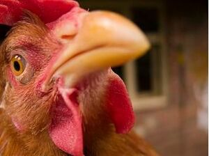 Bildquelle: photocase.com // kimako