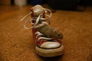 Bildquelle: photocase.com // Judywie