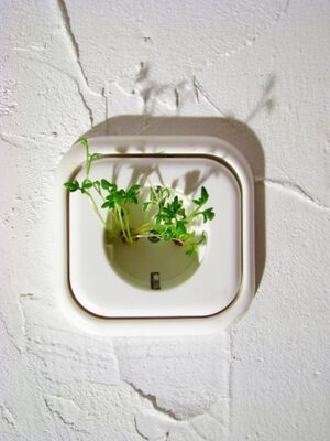 Bildquelle: photocase.com // jarts