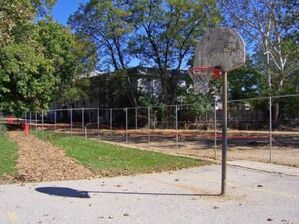 © PhotoXpress.com, Palms