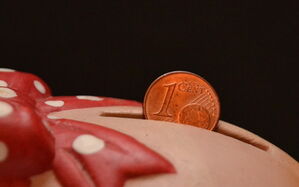 Im Landeshaushalt geht es nicht um Kleingeld. (Bild: wolfgang teuber / pixelio.de)