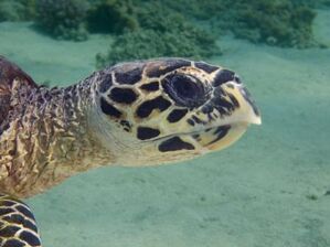 Quelle: www.photoxpress.com, Fotograf: DJ